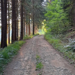 Ploščiny